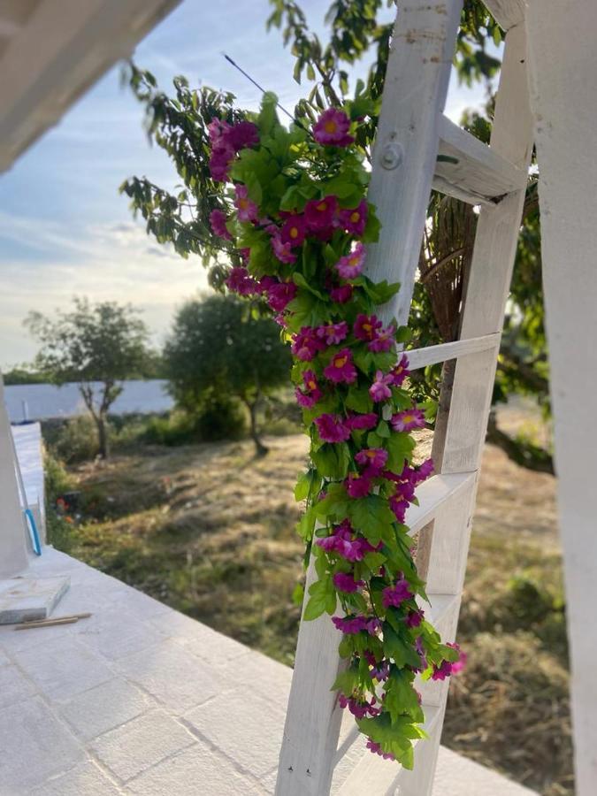 Casa Loredana Putignano Zewnętrze zdjęcie