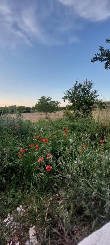Casa Loredana Putignano Zewnętrze zdjęcie
