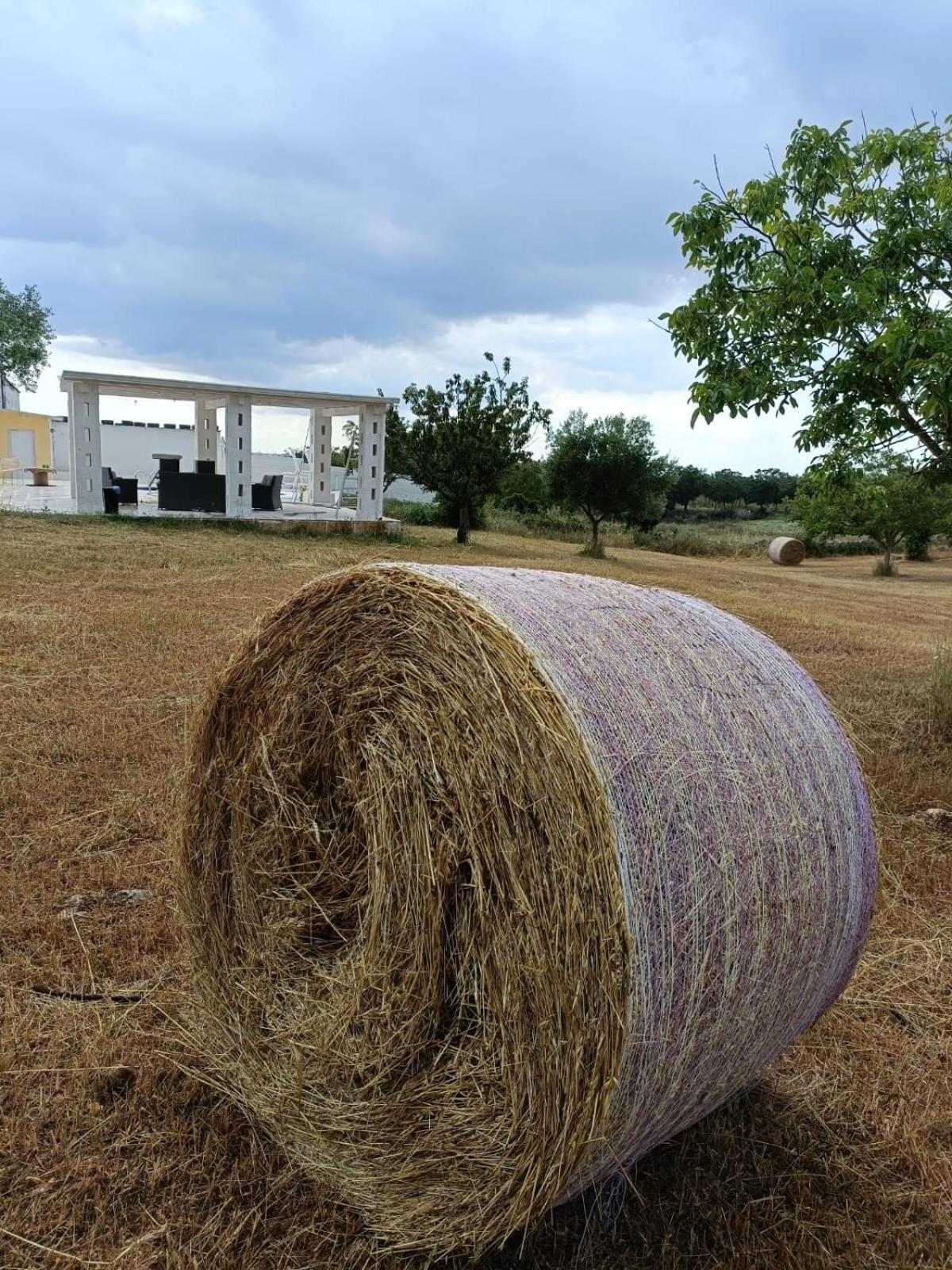 Casa Loredana Putignano Zewnętrze zdjęcie